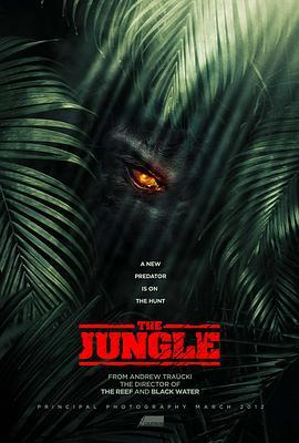 丛林屠场 The Jungle (2013) - 毒蛇电影