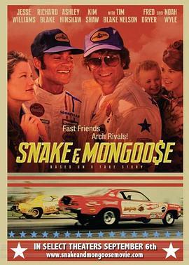 蛇与猫鼬 Snake and Mongoose (2013) - 毒蛇电影