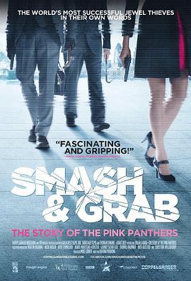 钻石大盗：粉红豹的故事 Smash & Grab: The Story of the Pink Panthers (2013) - 毒蛇电影