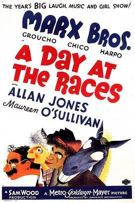 赌马风波 A Day at the Races (1937) - 毒蛇电影