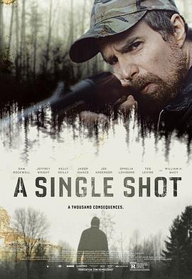 致命一击 A Single Shot (2013) - 毒蛇电影