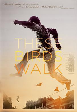 跑路鸟 These Birds Walk (2013) - 毒蛇电影