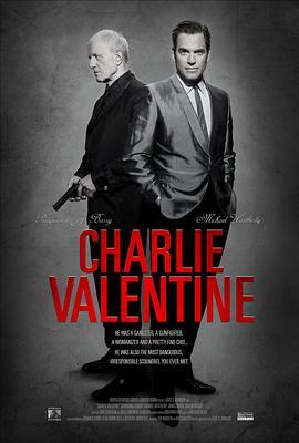 查理·瓦伦丁 Charlie Valentine (2009) - 毒蛇电影