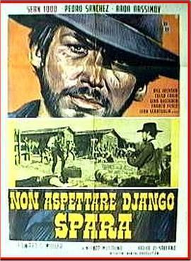 Don't Wait, Django... Shoot!  (1967) - 毒蛇电影