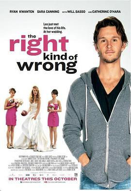 将错就错 The Right Kind of Wrong (2013) - 毒蛇电影