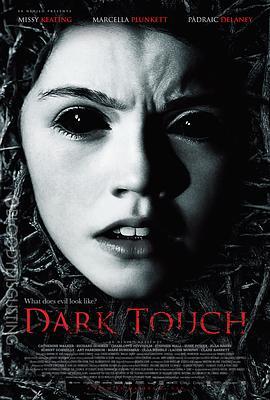 黑暗中的触摸 Dark Touch (2013) - 毒蛇电影