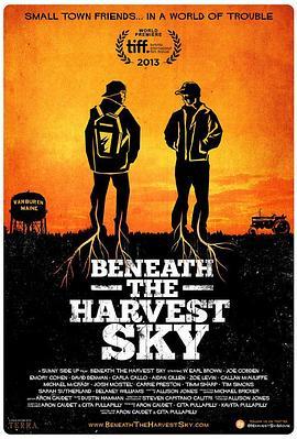 收获的天空下 Beneath the Harvest Sky (2013) - 毒蛇电影