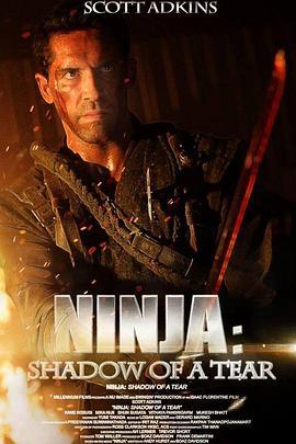 忍者2：撕裂的暗影 Ninja: Shadow of a Tear (2013) - 毒蛇电影