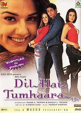 我心属于你 Dil Hai Tumhaara (2002) - 毒蛇电影