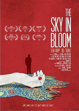 绽放的天空 The Sky in Bloom (2013) - 毒蛇电影