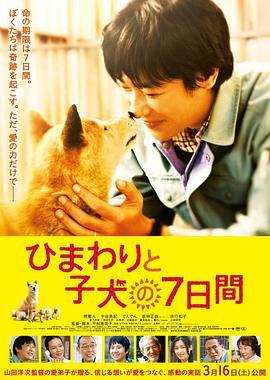 向日葵与幼犬的7天 ひまわりと子犬の7日間 (2013) - 毒蛇电影