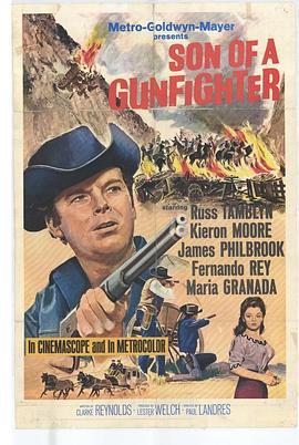 神枪手之子 Son of a Gunfighter (1965) - 毒蛇电影