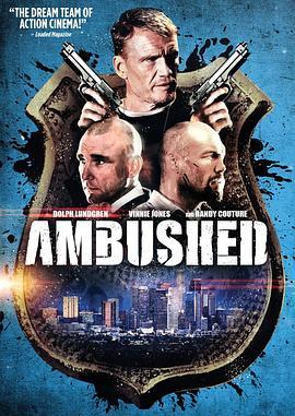 伏击 Ambushed (2013) - 毒蛇电影