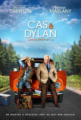 凯斯与迪伦 Cas & Dylan (2013) - 毒蛇电影