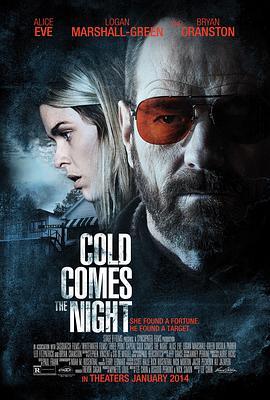 汽车旅馆疯劫案 Cold Comes the Night (2013) - 毒蛇电影