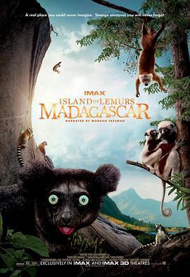 马达加斯加：狐猴之岛 Island of Lemurs: Madagascar (2014) - 毒蛇电影