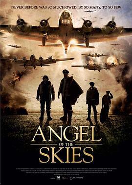 空中的天使 Angel of the Skies (2013) - 毒蛇电影