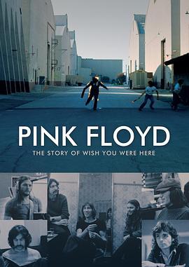 平克·弗洛伊德：愿你在此的故事 Pink Floyd: The Story of Wish You Were Here (2012) - 毒蛇电影