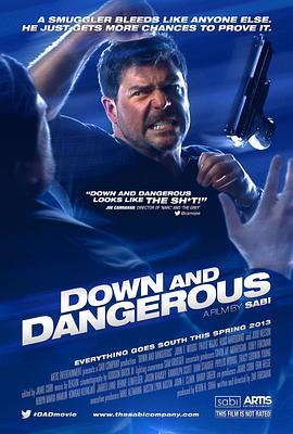 堕落危情 Down and Dangerous (2013) - 毒蛇电影