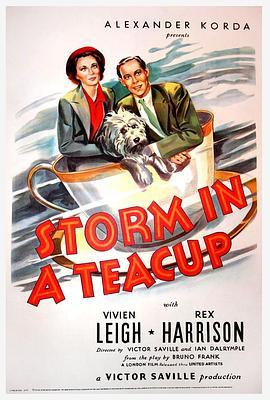 茶杯里的风暴 Storm in a Teacup (1937) - 毒蛇电影