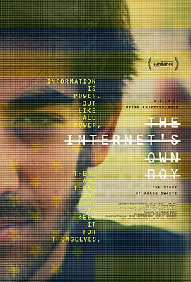 互联网之子 The Internet's Own Boy: The Story of Aaron Swartz (2014) - 毒蛇电影