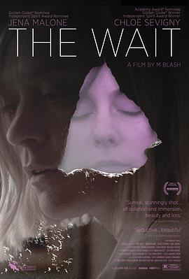 The Wait  (2011) - 毒蛇电影