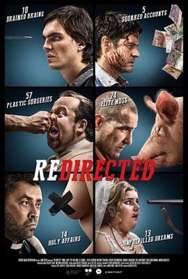 杀回归家路 Redirected (2014) - 毒蛇电影