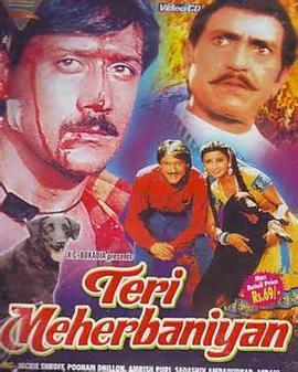 她的温柔 Teri Meherbaniyan (1985) - 毒蛇电影