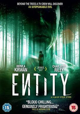 实体 Entity (2012) - 毒蛇电影