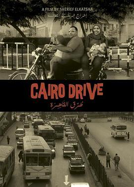 驶在开罗 Cairo Drive (2013) - 毒蛇电影