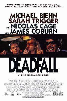 超级赌徒 Deadfall (1993) - 毒蛇电影