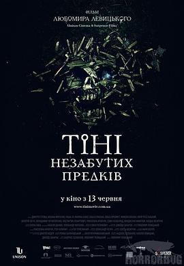 无法忘却的阴影 Тіні незабутих предків (2013) - 毒蛇电影