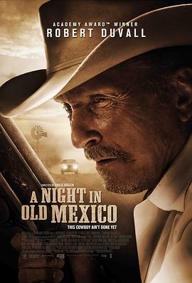 旧墨西哥一夜 A Night in Old Mexico (2013) - 毒蛇电影