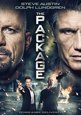 致命速递 The Package (2012) - 毒蛇电影