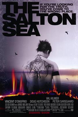 万里追凶 The Salton Sea (2002) - 毒蛇电影