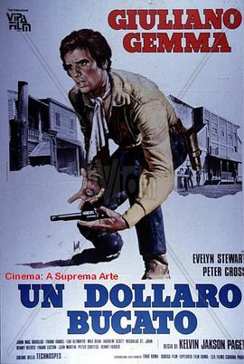 血腥银元 Un dollaro bucato (1965) - 毒蛇电影