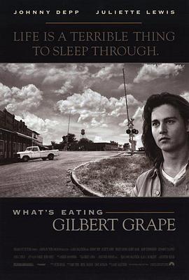 不一样的天空 What's Eating Gilbert Grape (1993) - 毒蛇电影