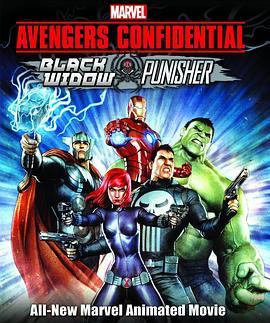 机密复仇者：黑寡妇与惩罚者 Marvel Avengers Confidential: Black Widow & Punisher (2014) - 毒蛇电影