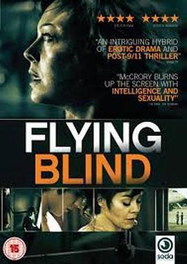 盲目飞行 Flying Blind (2012) - 毒蛇电影