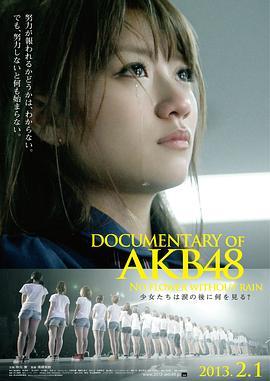 AKB48心程纪实3：少女眼泪的背后 Documentary of AKB48 No Flower Without Rain 少女たちは涙の後に何を見る？ (2013) - 毒蛇电影