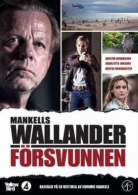 沃兰德探长系列：消失 Wallander: Försvunnen (2013) - 毒蛇电影