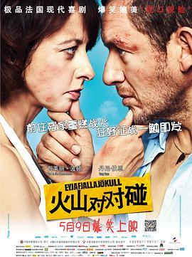 火山对对碰 Eyjafjallajökull (2013) - 毒蛇电影