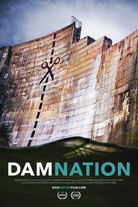 坝之患 DamNation (2014) - 毒蛇电影