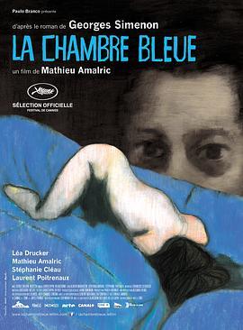 蓝色房间 La chambre bleue (2014) - 毒蛇电影