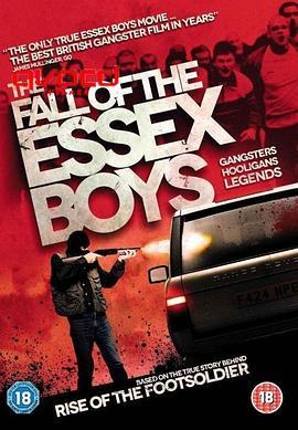 男孩的覆灭 The Fall of the Essex Boys (2012) - 毒蛇电影