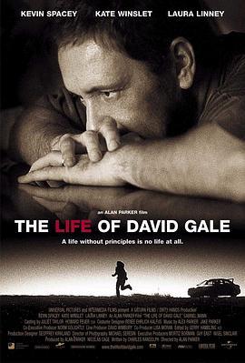 大卫·戈尔的一生 The Life of David Gale (2003) - 毒蛇电影