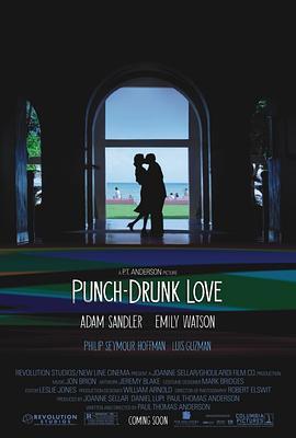 私恋失调 Punch-Drunk Love (2002) - 毒蛇电影