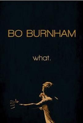 博·伯翰：什么。 Bo Burnham: What (2013) - 毒蛇电影