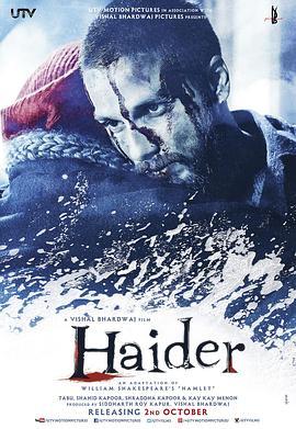 海德尔 Haider (2014) - 毒蛇电影