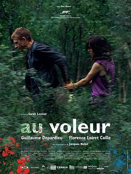 最真的时光 Au voleur (2009) - 毒蛇电影